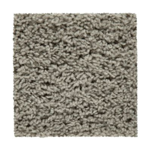Hb220 - Silver Splendor