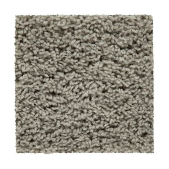 Hb220 - Silver Splendor Hb220 - Silver Splendor