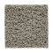 Hb220 - Silver Splendor