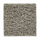Hb220 - Silver Splendor Hb220 - Silver Splendor