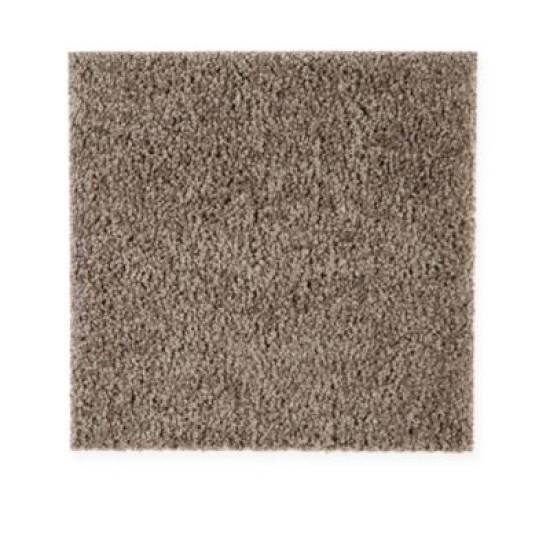 205Hb - Shadywood (S) 205Hb - Shadywood (S)