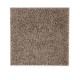 205Hb - Shadywood (S) 205Hb - Shadywood (S)