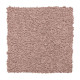 Treasure Valley - Rose Treasure Valley - Rose