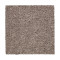 Treasure Valley - Poised Taupe