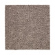 Treasure Valley - Poised Taupe Treasure Valley - Poised Taupe