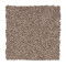 Treasure Valley - Mesquite Chip