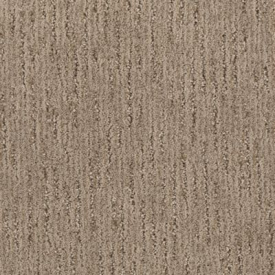Sculptured Touch - Terra Sculptured Touch - Terra