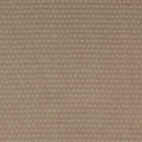 Natural Intuition - Birch Log