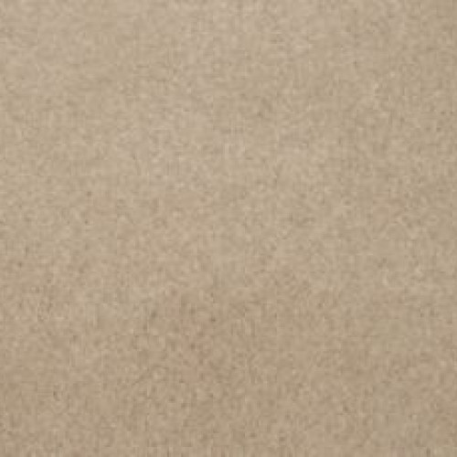 Tender Moment II - Parchment