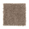 Natural Decoration - Party MIX