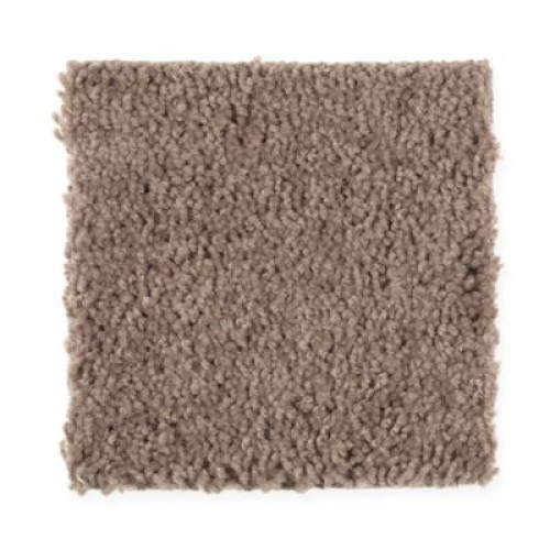 Natural Decoration - Dried Peat