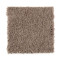 Natural Decoration - Dried Peat