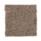 Natural Decoration - Dried Peat Natural Decoration - Dried Peat