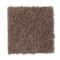 Natural Decoration - Boca Raton
