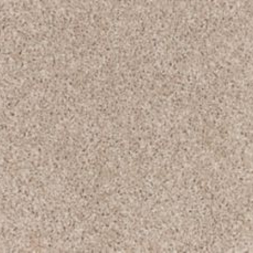 Authentic Voice - Polished Tan