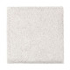 Natural Splendor I - Lacey Border Natural Splendor I - Lacey Border