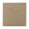 Natural Splendor I - Light Camel