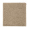 Natural Splendor I - Polo Tan