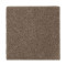 Natural Splendor I - Worn Leather
