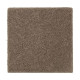 Natural Splendor I - Worn Leather Natural Splendor I - Worn Leather