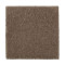 Natural Splendor I - Scotch Tweed