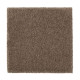 Natural Splendor I - Scotch Tweed Natural Splendor I - Scotch Tweed