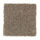 206Hb - Timeless (T) 206Hb - Timeless (T)