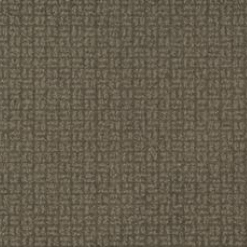 Flawless Vision - Tree Bark