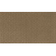 Timeless Form - Sea Shell Timeless Form - Sea Shell