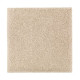 200Hb - Sugar Cookie 200Hb - Sugar Cookie