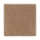 200Hb - Maple Sugar 200Hb - Maple Sugar