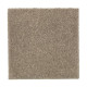 200Hb - Oyster Shell 200Hb - Oyster Shell