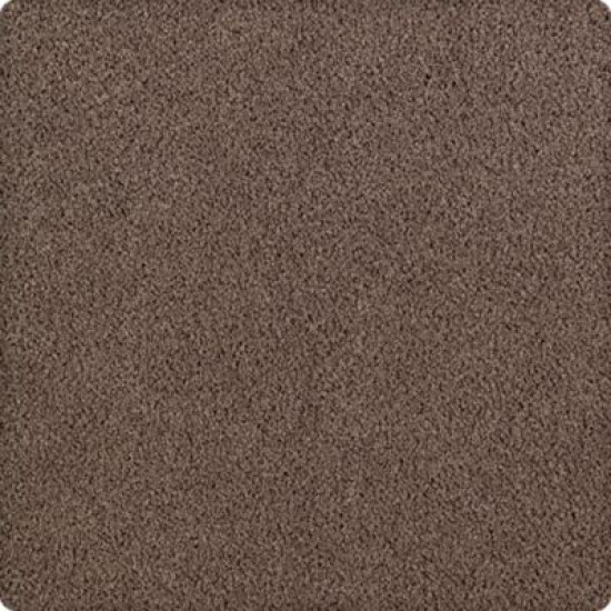 Luxurious Beauty - 875 Luxurious Beauty - 875