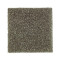 215Hb - Eco Green