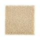 215Hb - Sugar Cookie 215Hb - Sugar Cookie