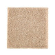 215Hb - Champagne Bubble 215Hb - Champagne Bubble