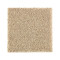 215Hb - Oak Buff