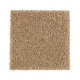 215Hb - Maple Sugar 215Hb - Maple Sugar