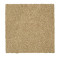 215Hb - Oyster Shell