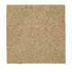 215Hb - Oyster Shell 215Hb - Oyster Shell