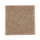 215Hb - Shortbread 215Hb - Shortbread