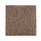 215Hb - Coffee Bean 215Hb - Coffee Bean