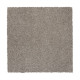 215Hb - Stepping Stone 215Hb - Stepping Stone