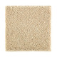216Hb - Sugar Cookie 216Hb - Sugar Cookie