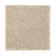 Subtle Tones - Nutria Subtle Tones - Nutria