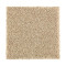 216Hb - Oak Buff