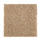 216Hb - Light Camel