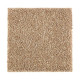 216Hb - Light Camel 216Hb - Light Camel