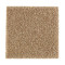 216Hb - Maple Sugar