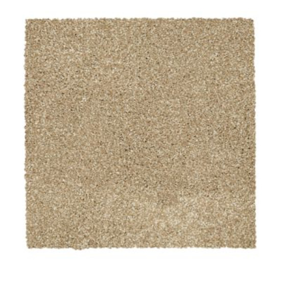 216Hb - Oyster Shell